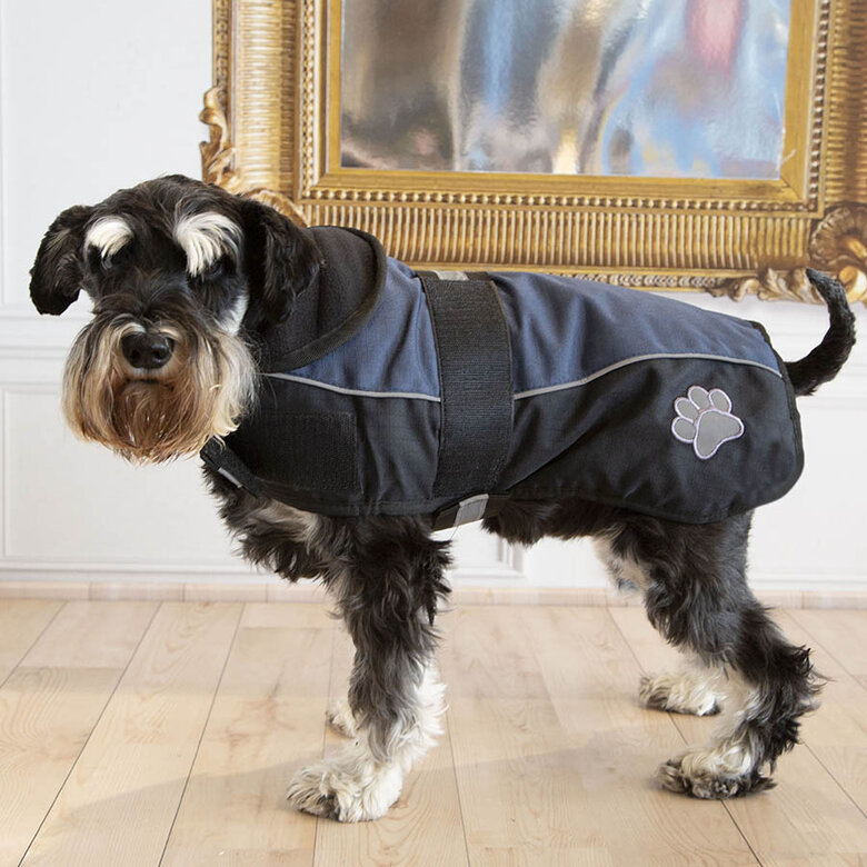 Outech Sport Abrigo Negro con Azul para perros, , large image number null